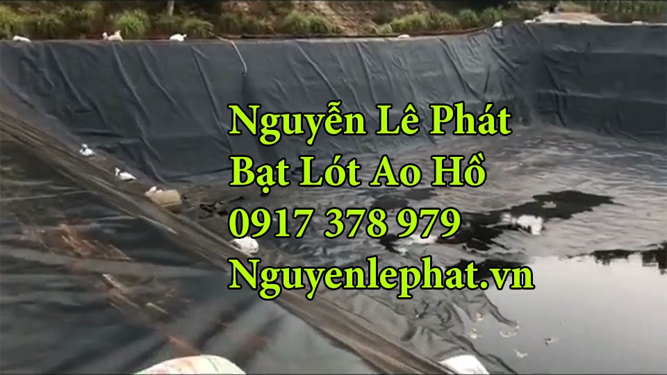 Bạt lót ao hồ chứa nước nuôi cá Định Quán Đồng Nai 