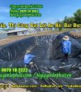 Bạt Nhựa HDPE Lót Ao Hồ Chứa Nước Nuôi Tôm Cá Tại Cần Thơ